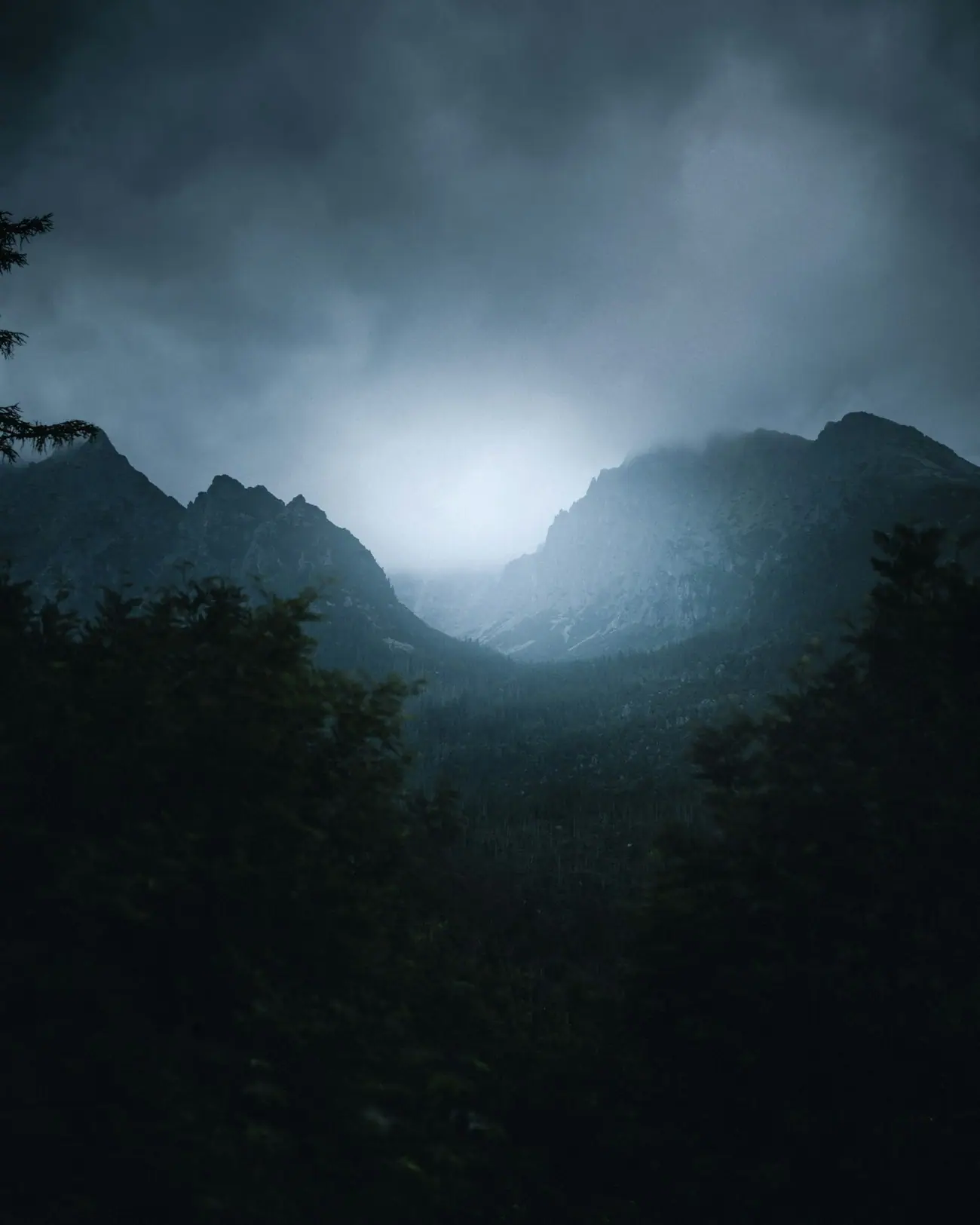 Misty mountains fading into soft cloud at dawn, the calm mood of the gallery