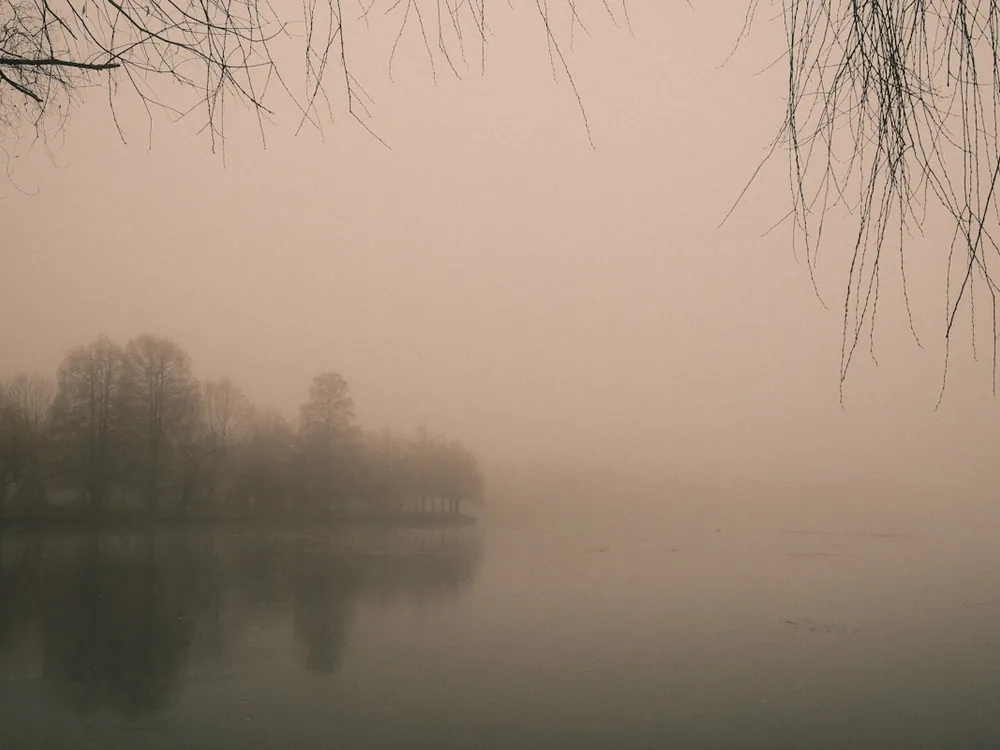 Still lake mirroring misty trees near the seawall
